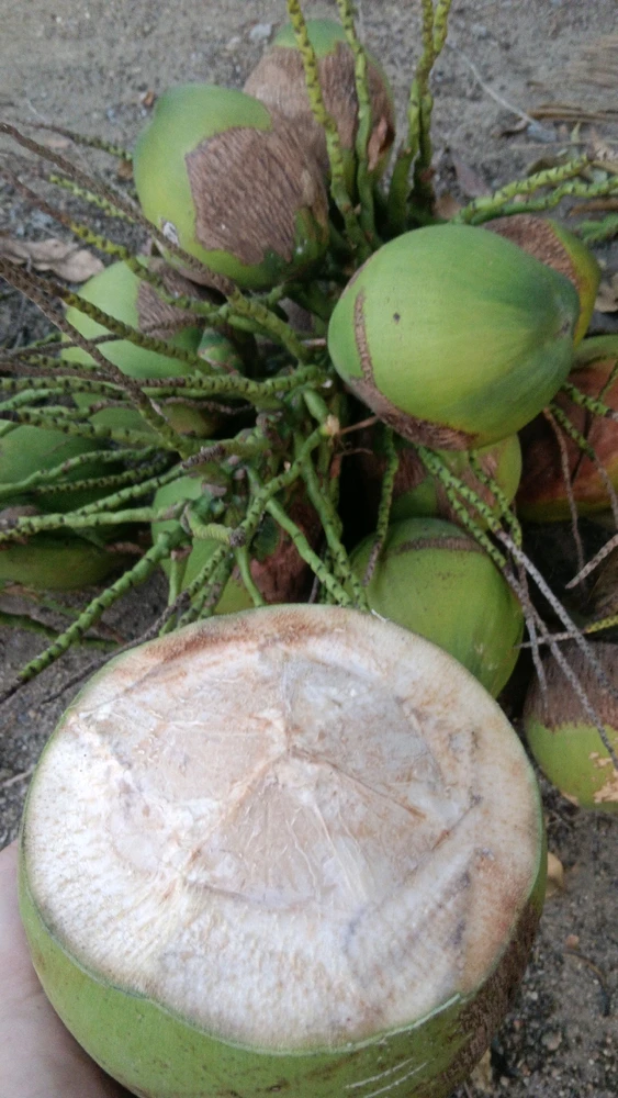 GIF อัปโหลดโดย Kwan