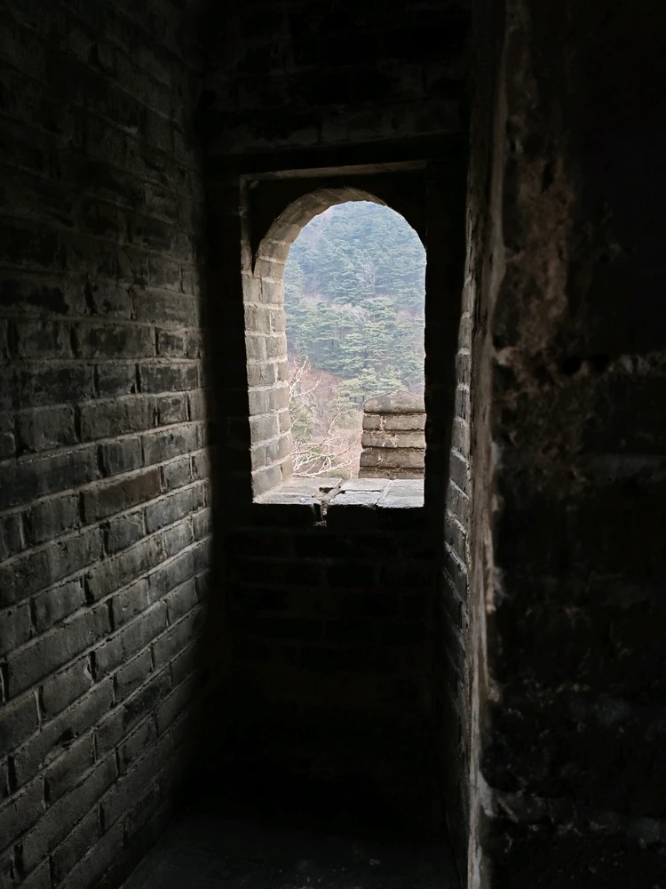 GIF uploaded by Tenoch