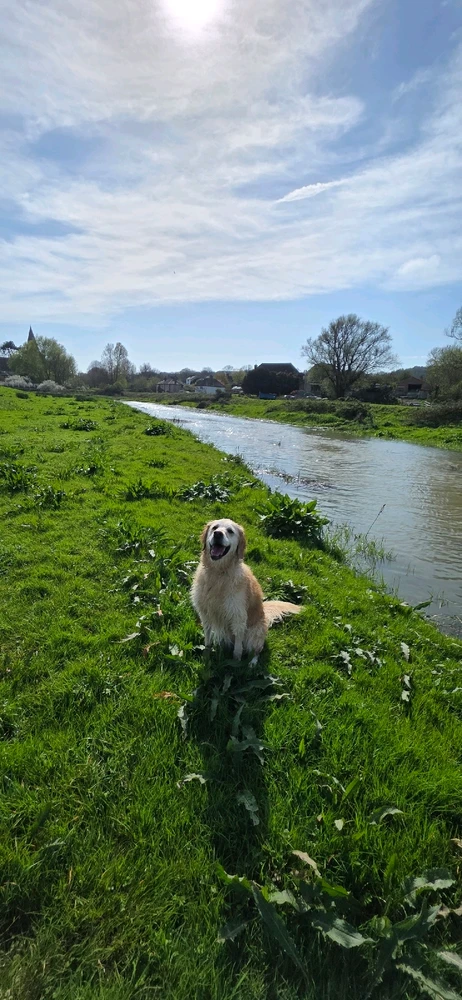GIF uploaded by Marley