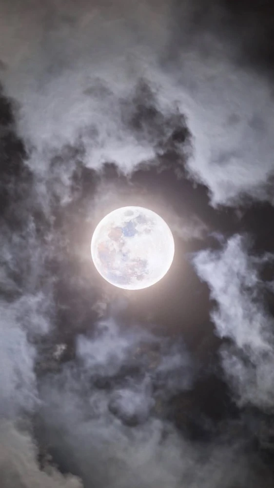 GIF uploaded by Zayan