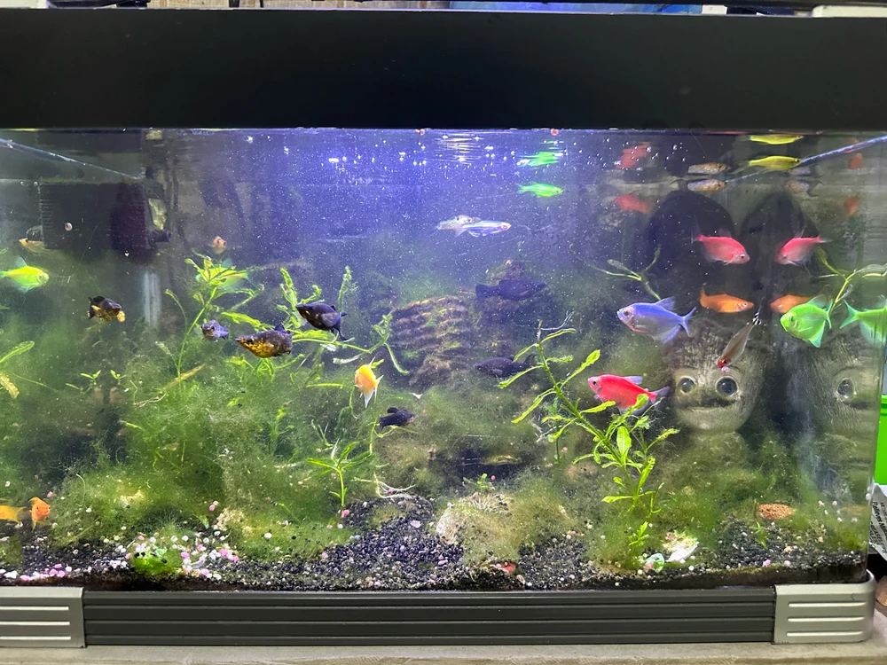 GIF uploaded by andrew