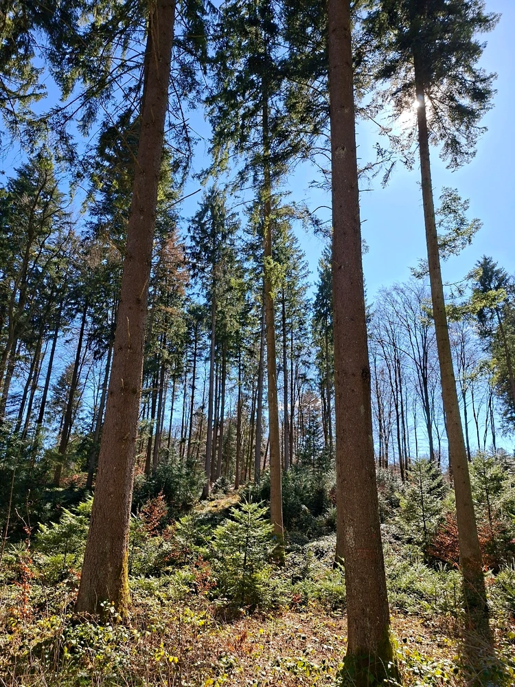 Bild hochgeladen von Lulu