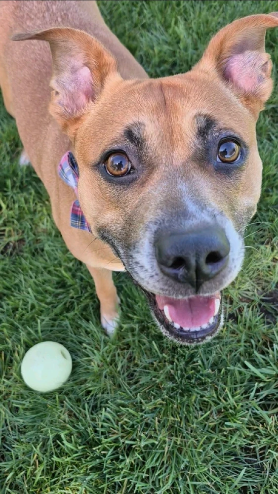 GIF uploaded by Saul Jose Carranza