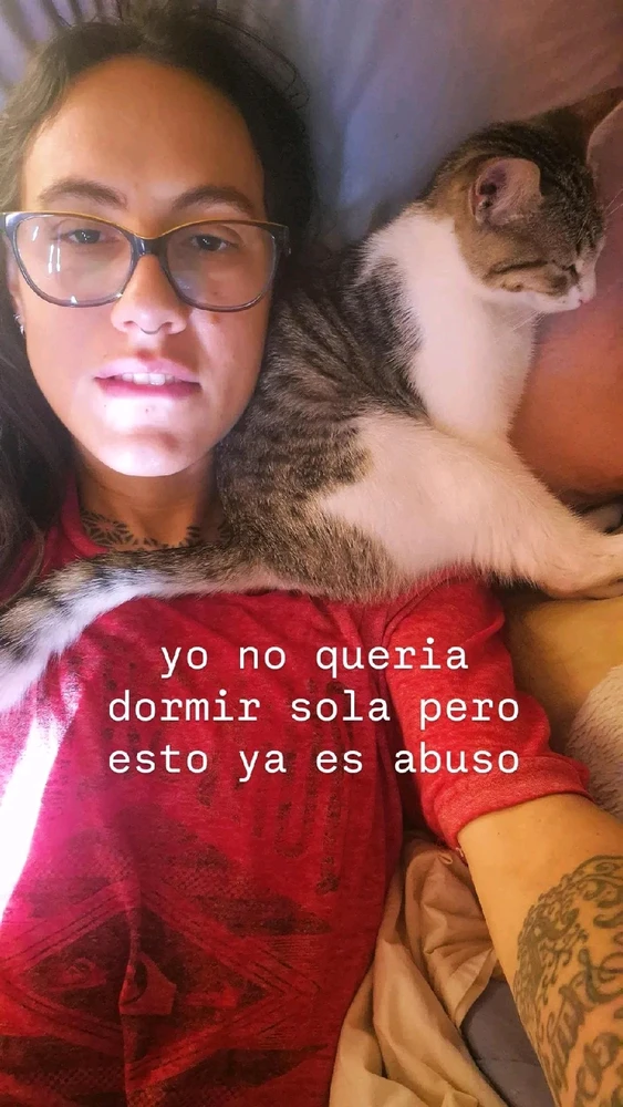 GIF tso los ntawm Ant