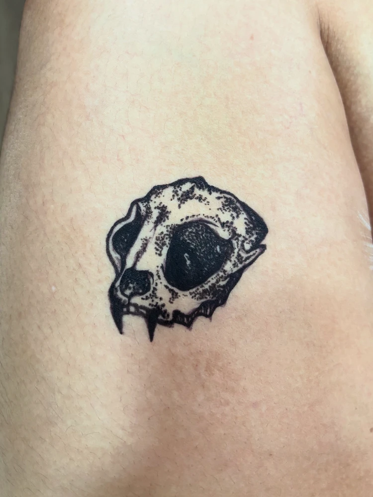 GIF uploaded by Lisbeth