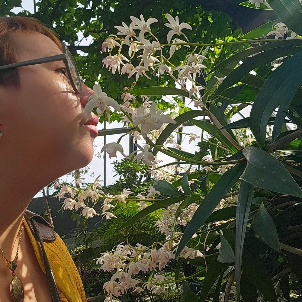 Gi-upload ni Meg ang hulagway