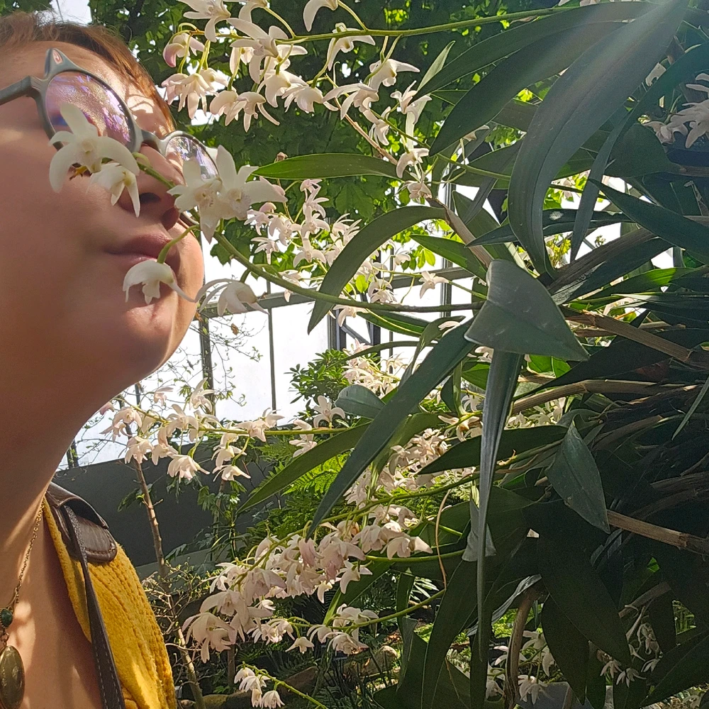 Gi-upload ni Meg ang hulagway