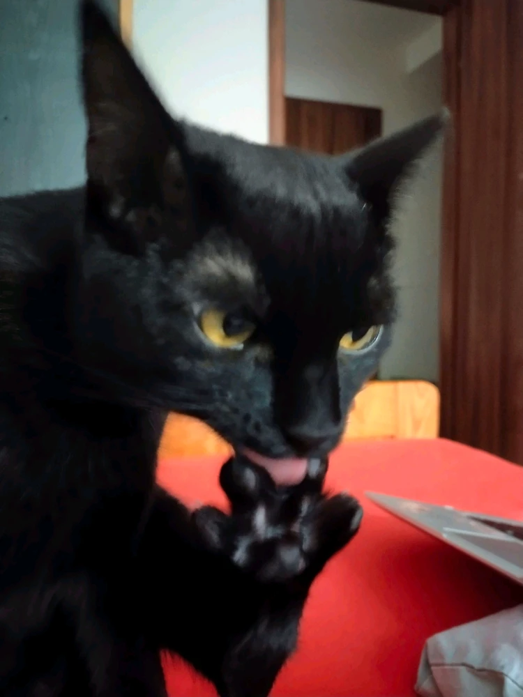 GIF uploaded by Ryan