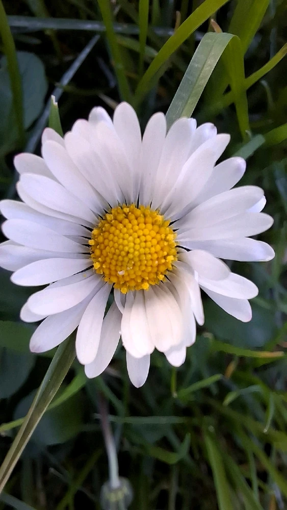 GIF uploaded by Marcos