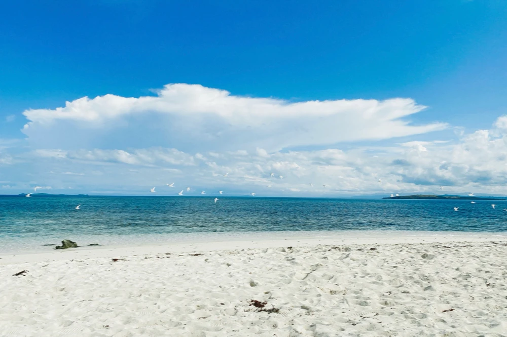 I-upload ni Pola ang larawan