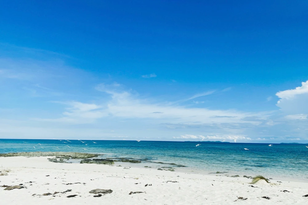 I-upload ni Pola ang larawan
