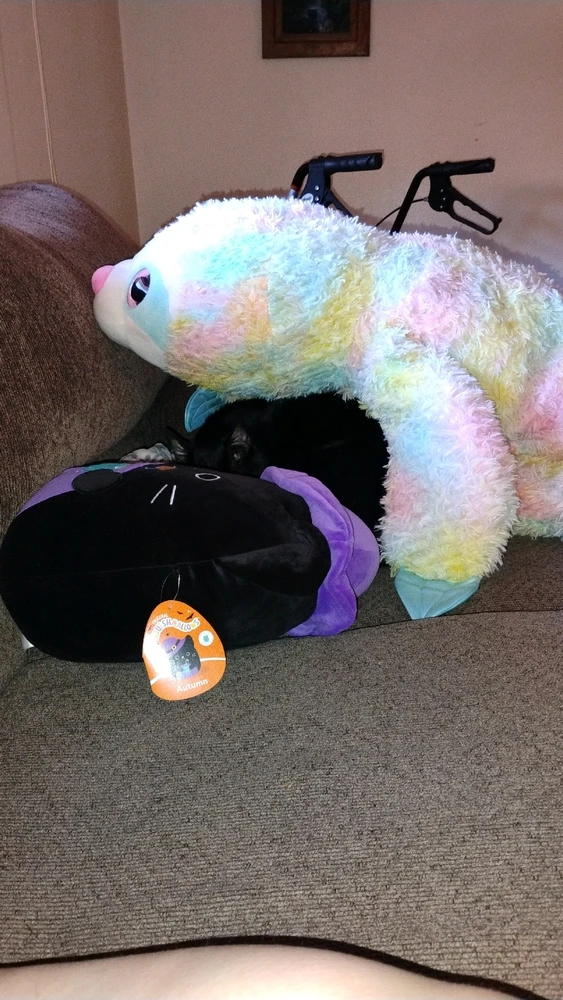 Black cat laying in a cave made of stuffed animals.