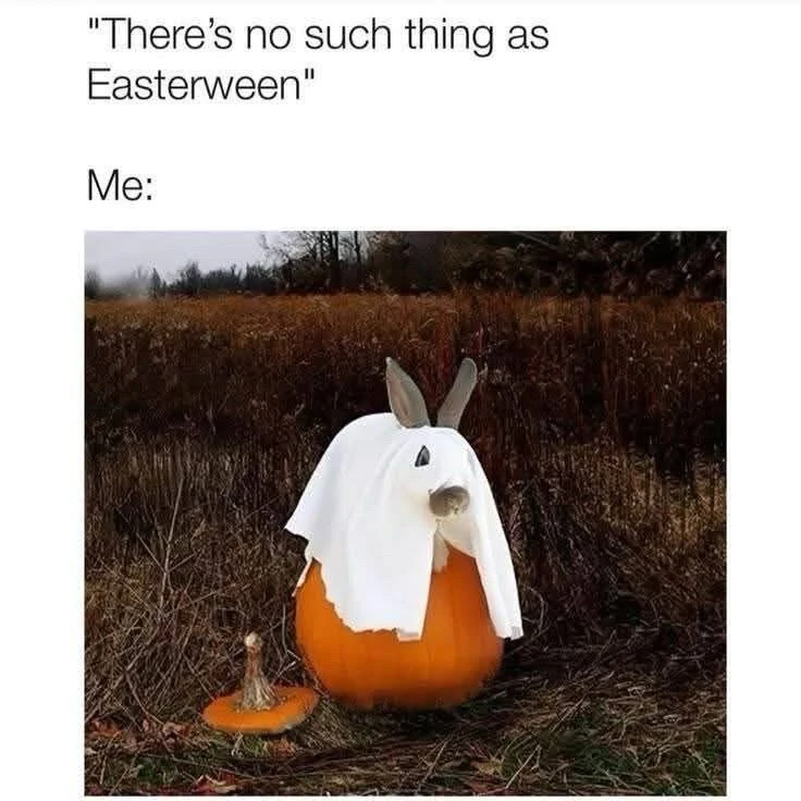 Image uploaded by ℳ𝒾𝒹𝓃𝒾𝑔𝒽𝓉