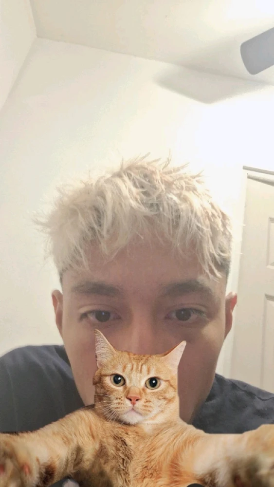 Imagen subida por Edgar