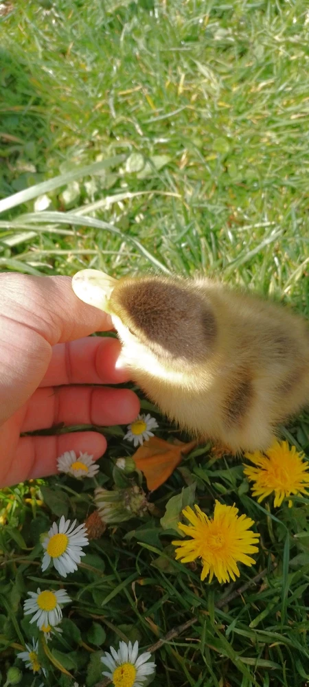 Image uploaded by Kas