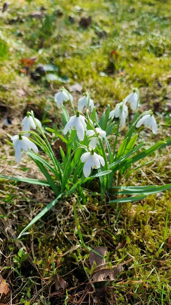 GIF uploaded by Reelika