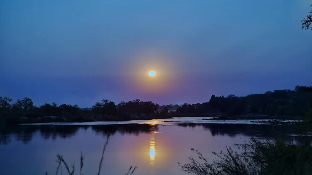 GIF uploaded by Treq