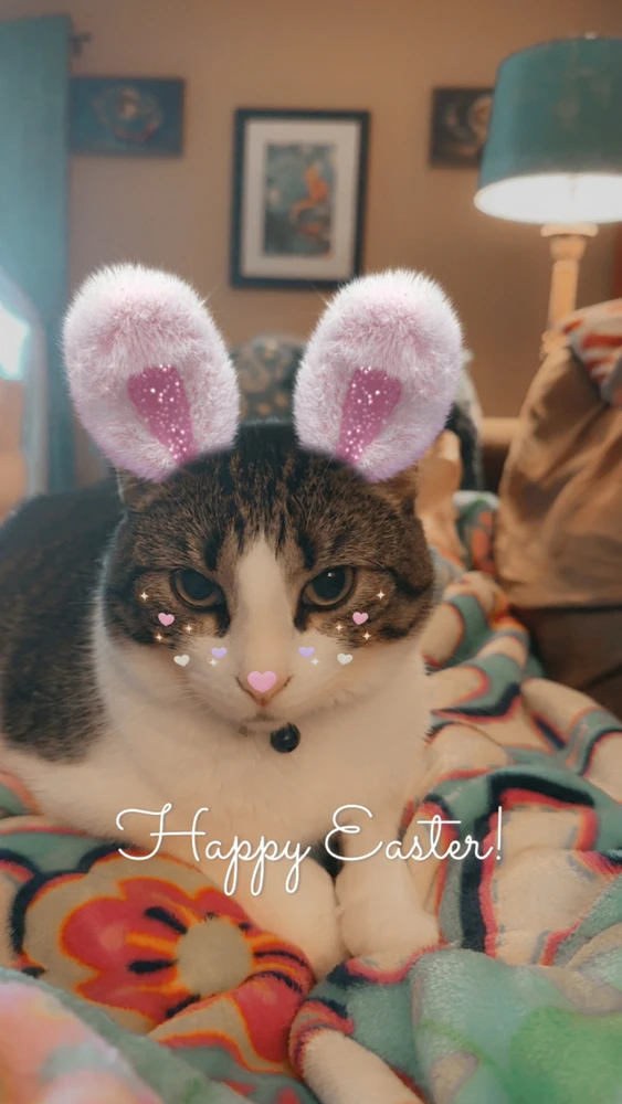 Image uploaded by Brittaney