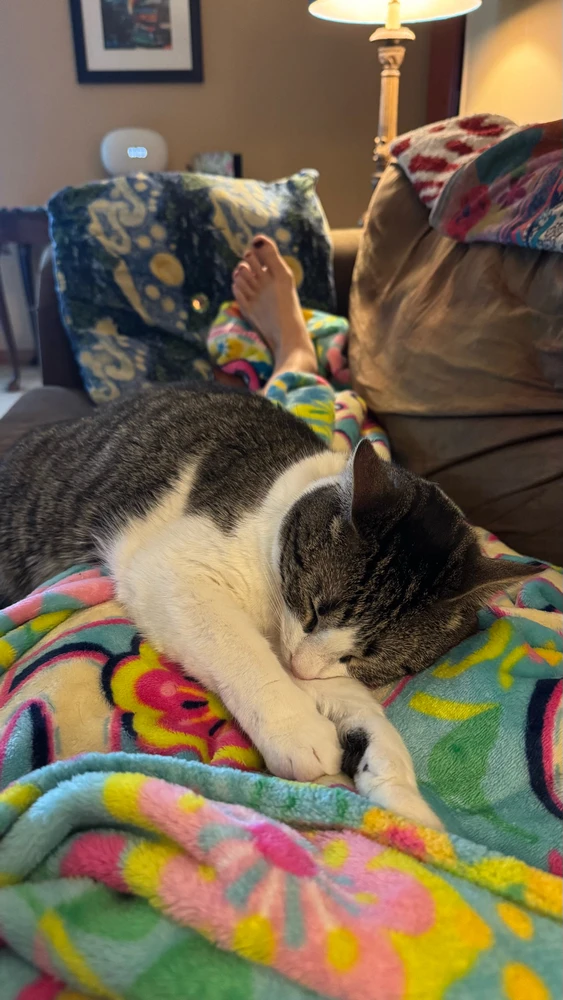 Image uploaded by Brittaney