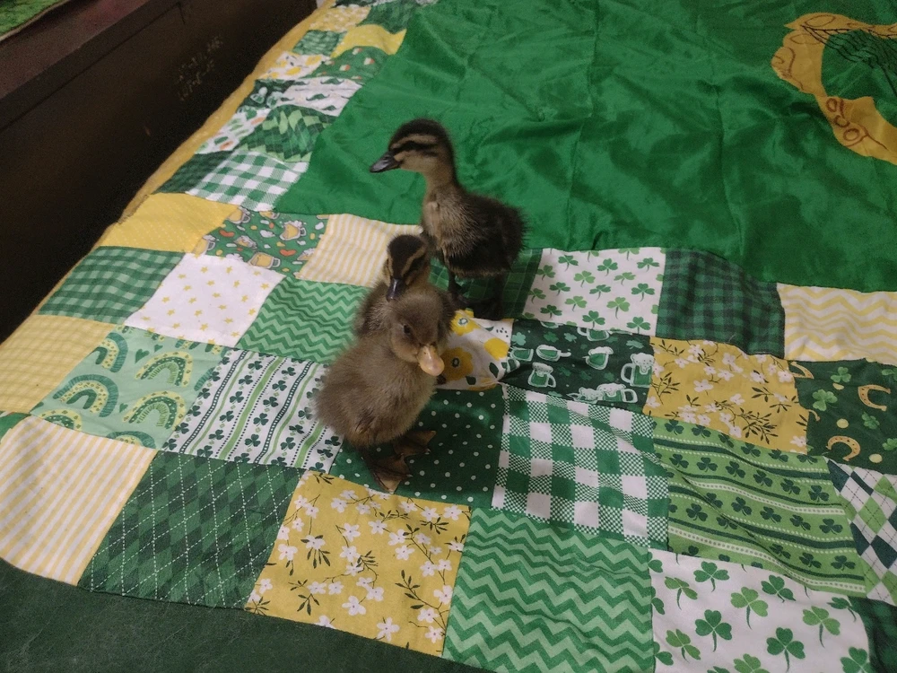 GIF uploaded by Eva