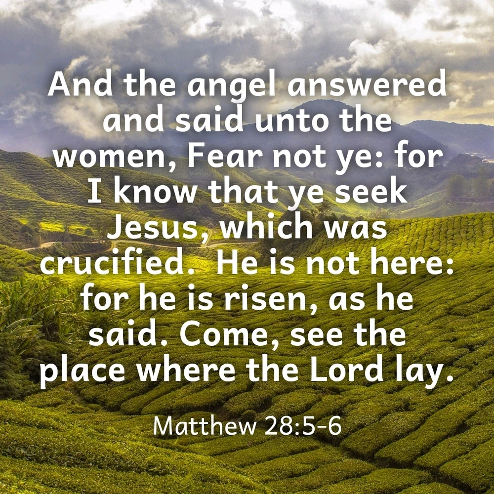 GIF uploaded by Larry