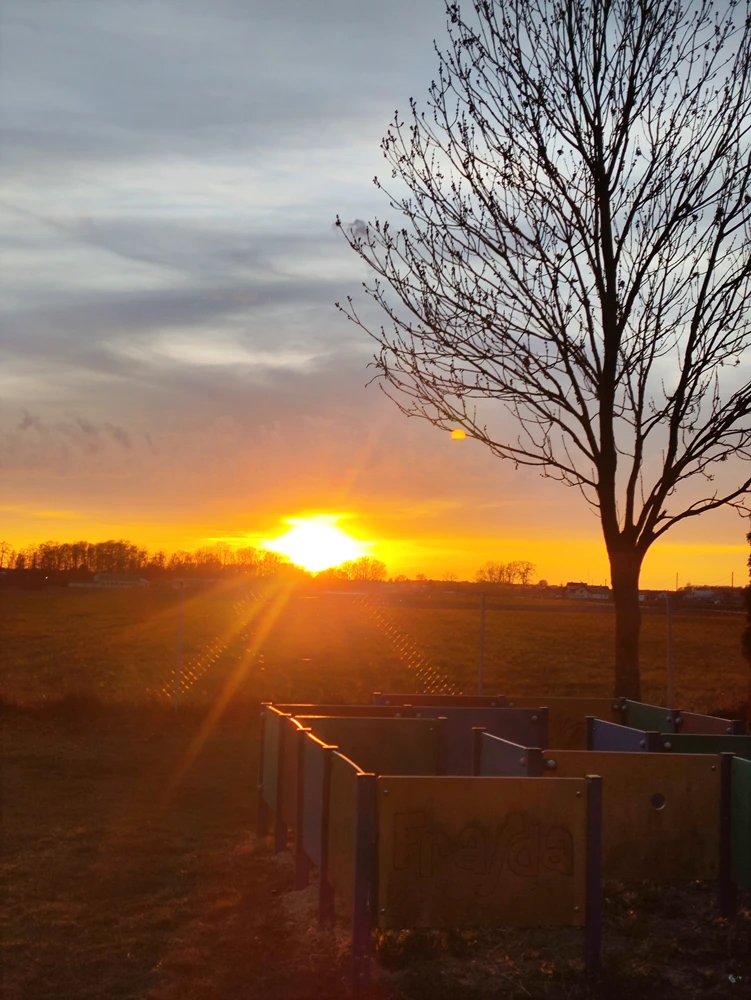 GIF dodany przez Dominik