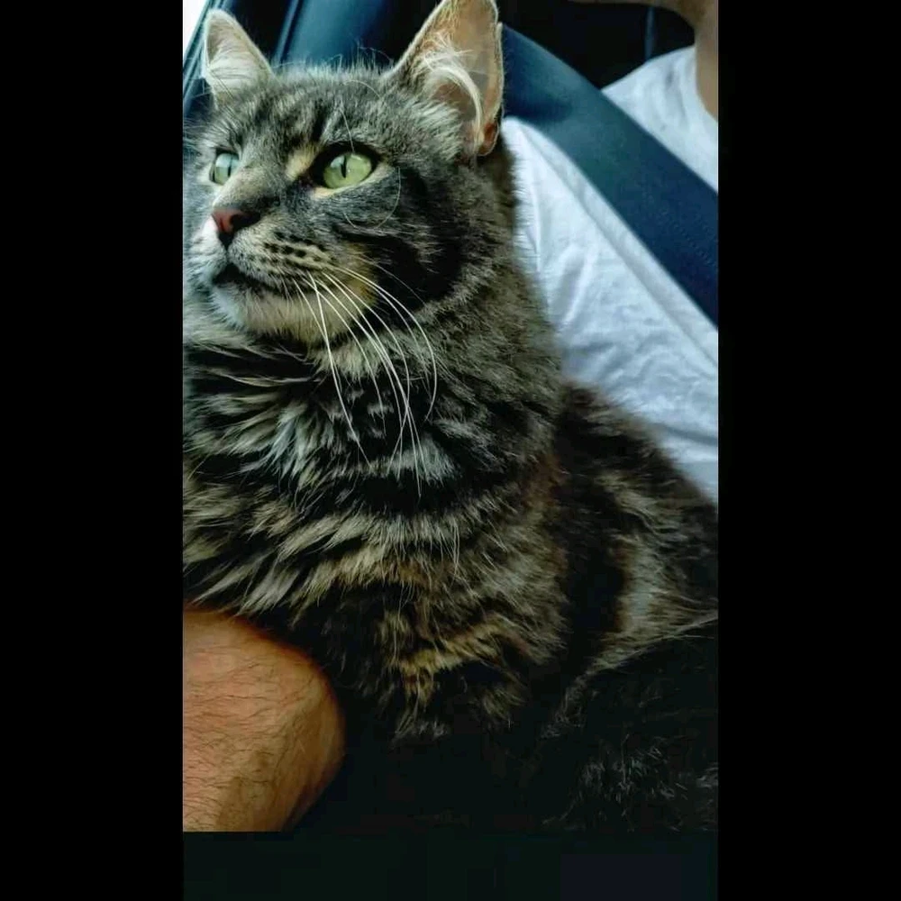 GIF uploaded by Howard