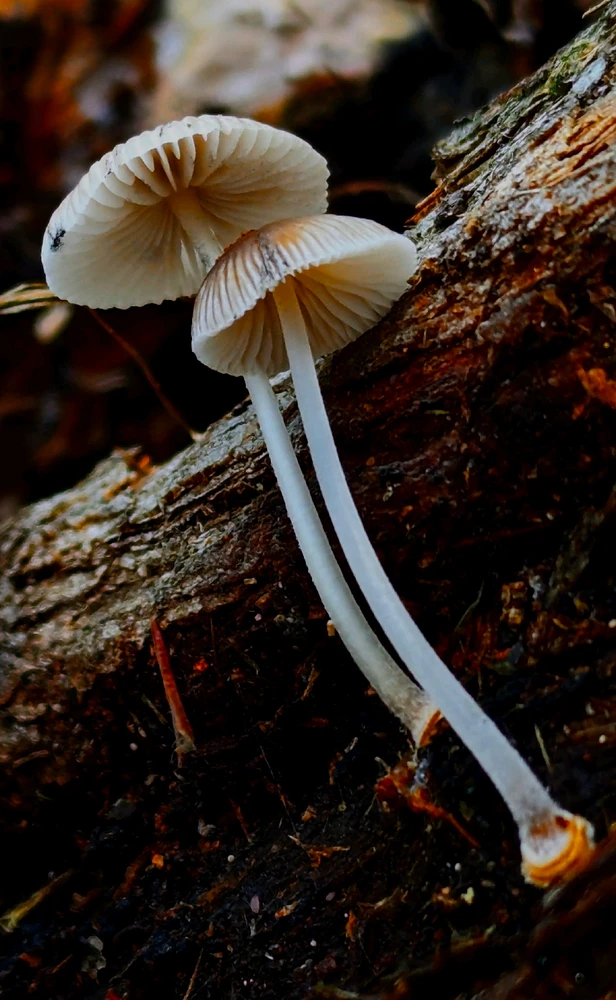 GIF uploaded by Chris