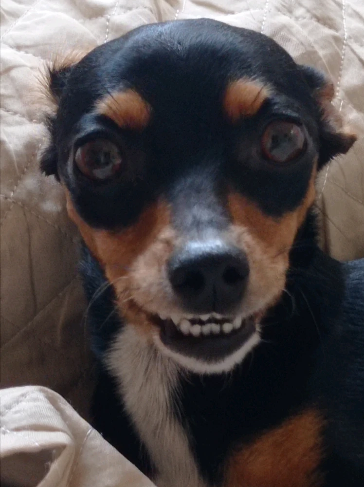Imagem enviada por Jovi