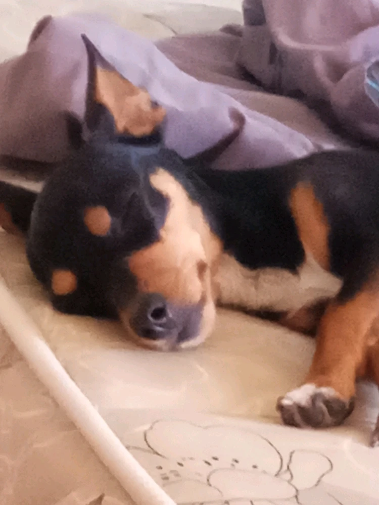 Imagem enviada por Jovi