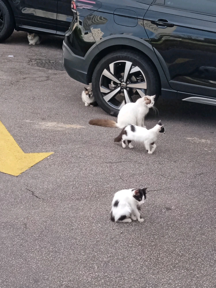 Imagem enviada por Jovi