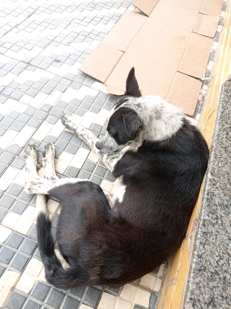 Imagem enviada por Jovi