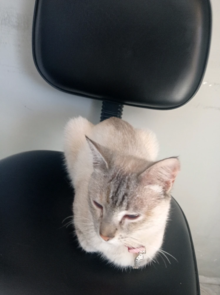 Imagem enviada por Jovi