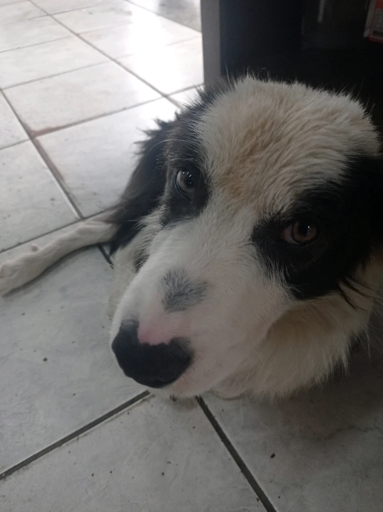 Imagem enviada por Jovi