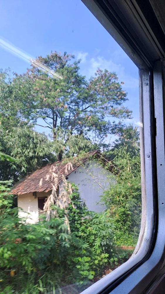 Train not to busan