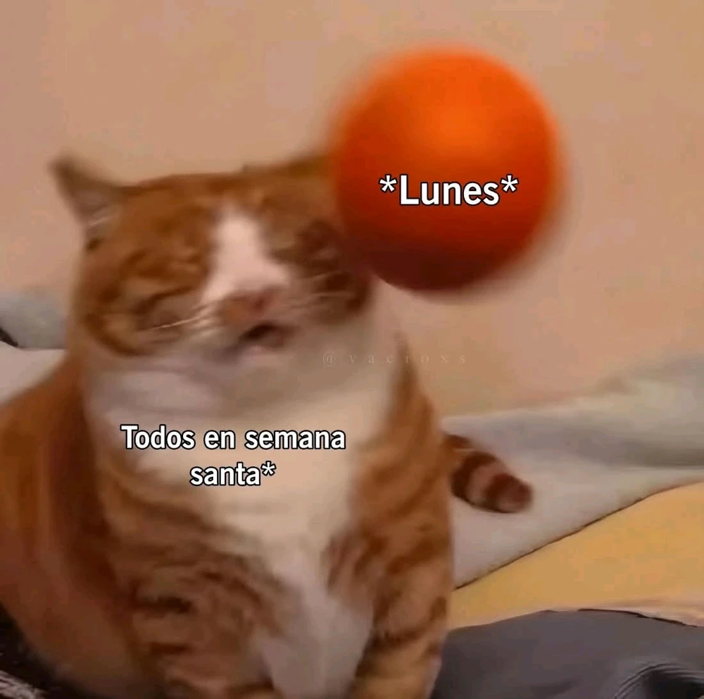 GIF subido por Holic