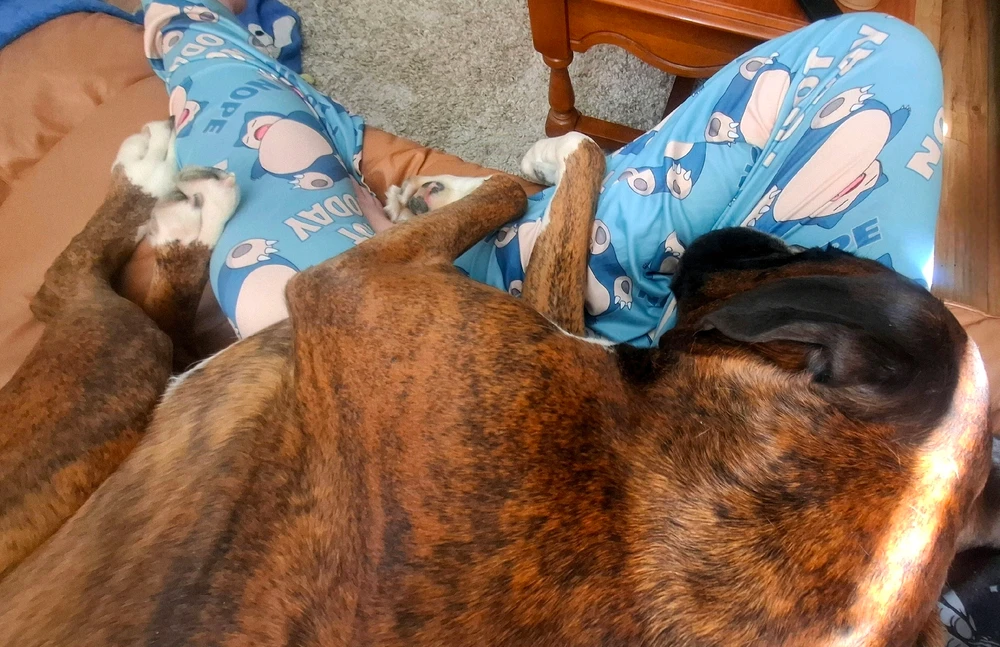 GIF uploaded by Jess 🌻