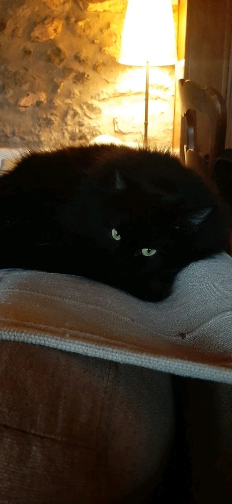 GIF caricata da Claudio