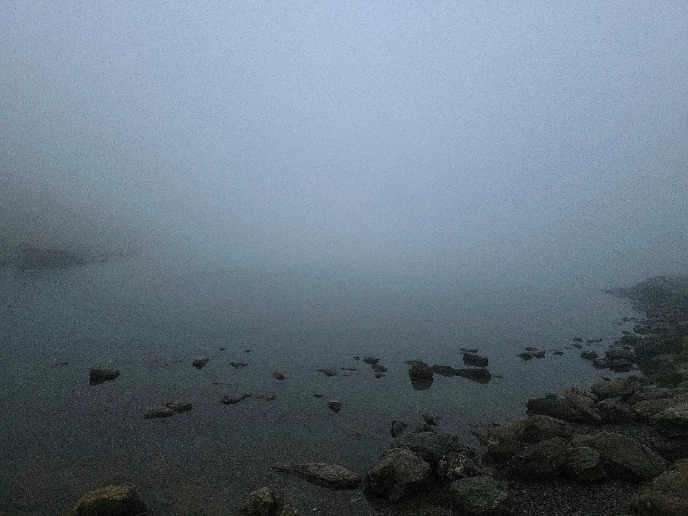 Image uploaded by Sacha