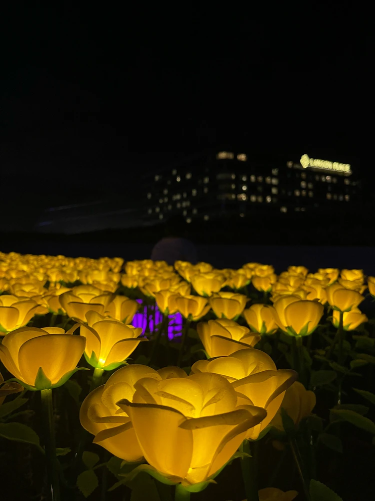 GIF uploaded by A