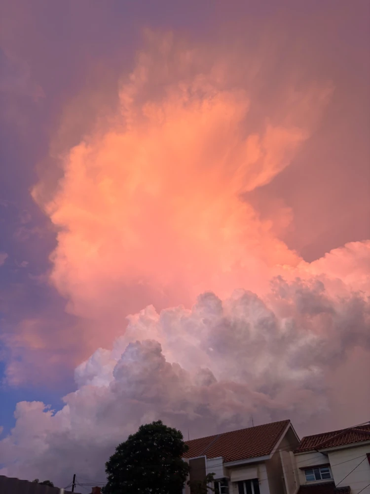 GIF uploaded by Debbie