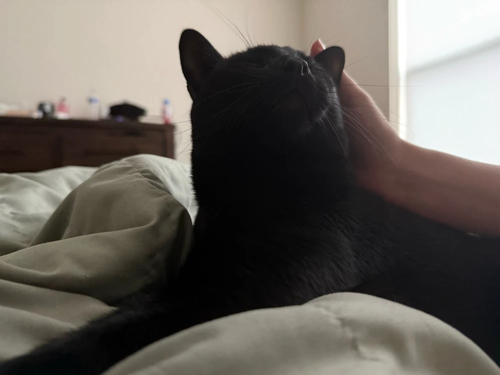 Image uploaded by Nina