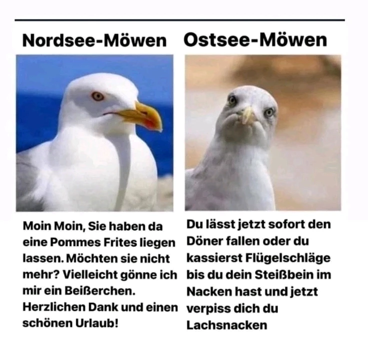 GIF hochgeladen von Teasy