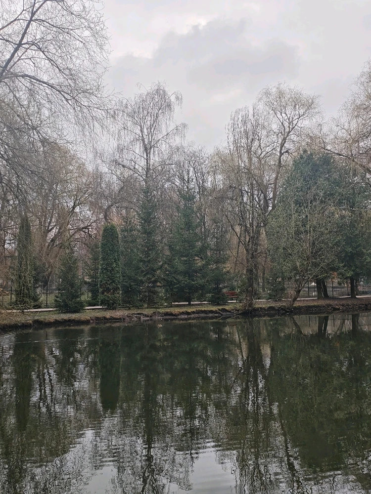 Гіфку завантажив Ілля