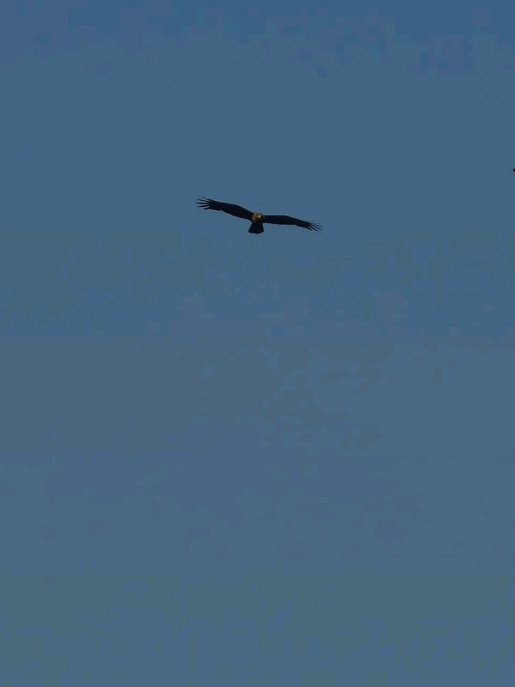 GIF uploaded by Yash