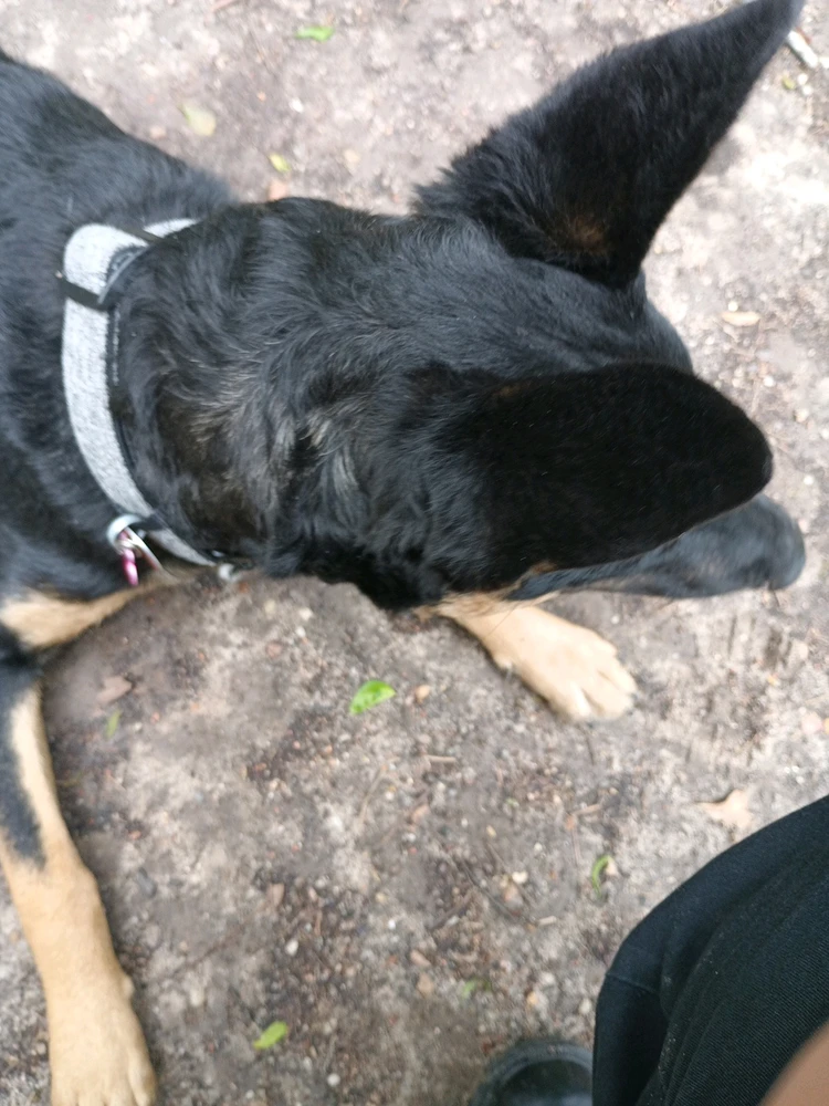 Image uploaded by Mav