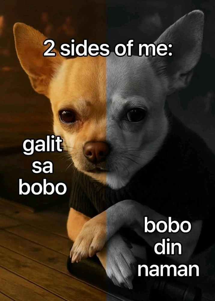 GIF uploaded by John