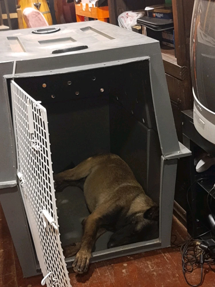 GIF enviado por Darwin