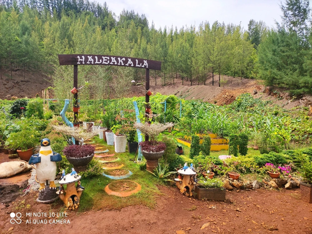 Image uploaded by Mafhie