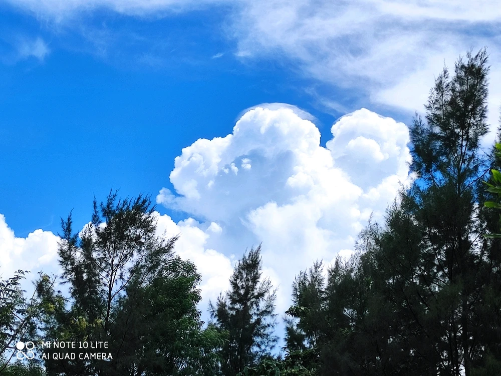 Image uploaded by Mafhie